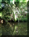 Excursions, a part of your Spanish Program