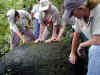 Excursions at our Spanish School in Costa Rica