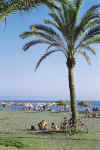 The Beach Near Our Spanish School in Malaga