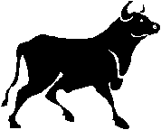 Image130.gif (1871 bytes)