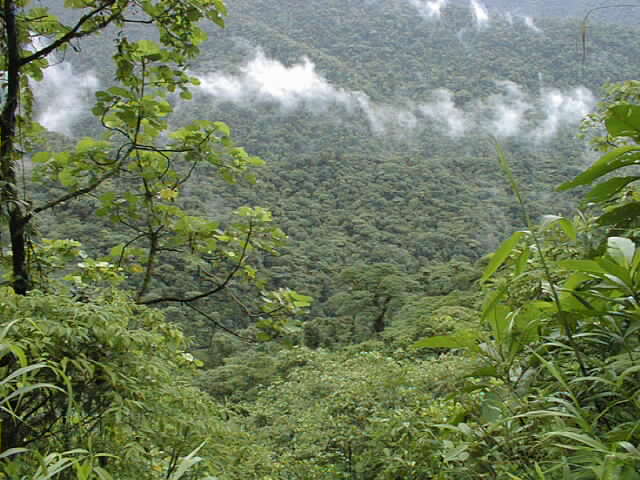 Parque Braulio.jpg 