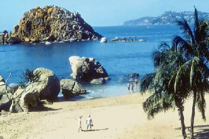 mex02.gif (87562 bytes)