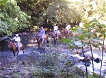 Horse Riding